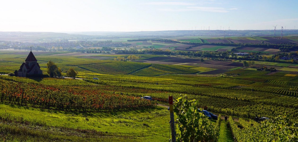 Weingut Schnabel_Weinberge, © Weingut Schnabel