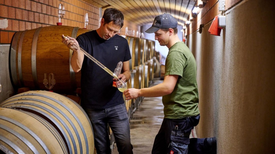 Weingut Manz_Arbeit im Keller, © Weingut Manz