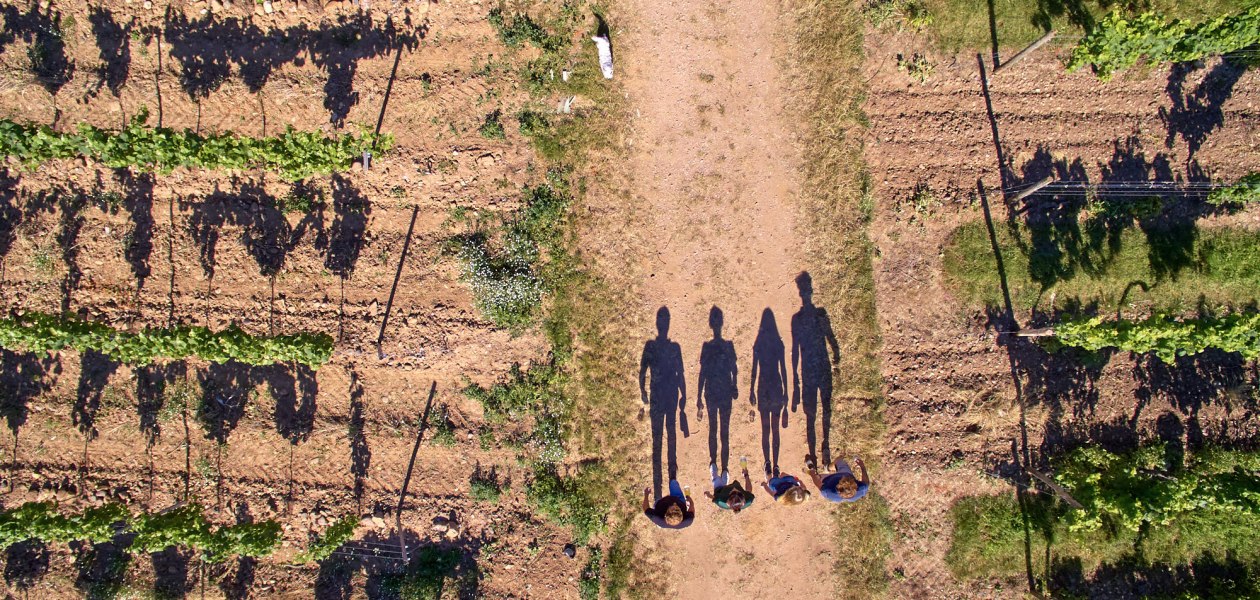 Weingut Laubenstein_Schatten, © Weingut Laubenstein