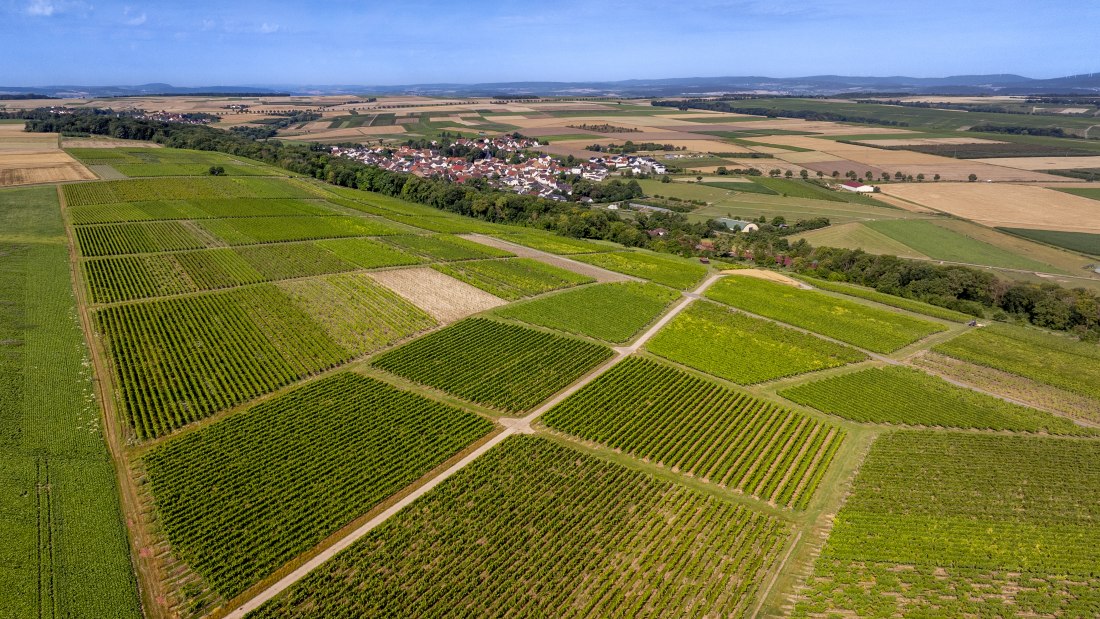 Nieder-Hilbersheimer Steinacker, © Torsten Silz