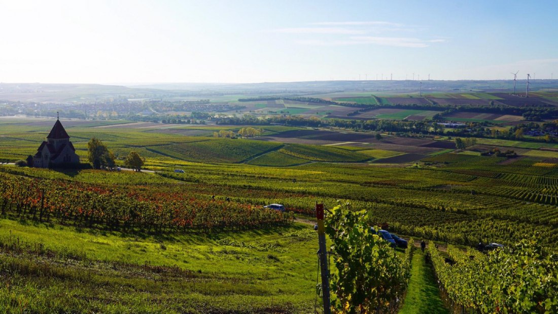 Weingut Schnabel_Weinberge, © Weingut Schnabel