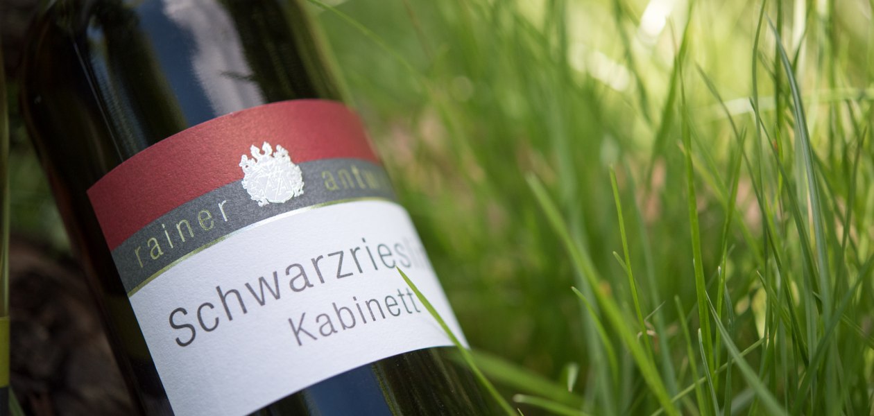 Weingut Antweiler_Schwarzriesling, © Weingut Antweiler