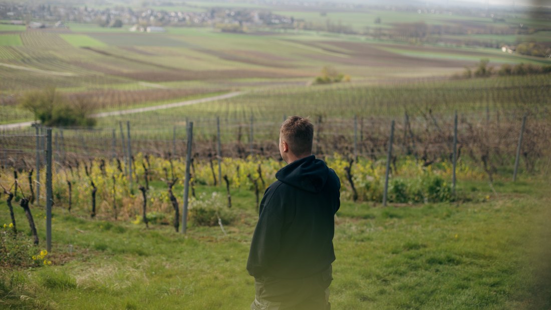 Weingut Binzel_Winzer Weinberg, © Weingut Binzel