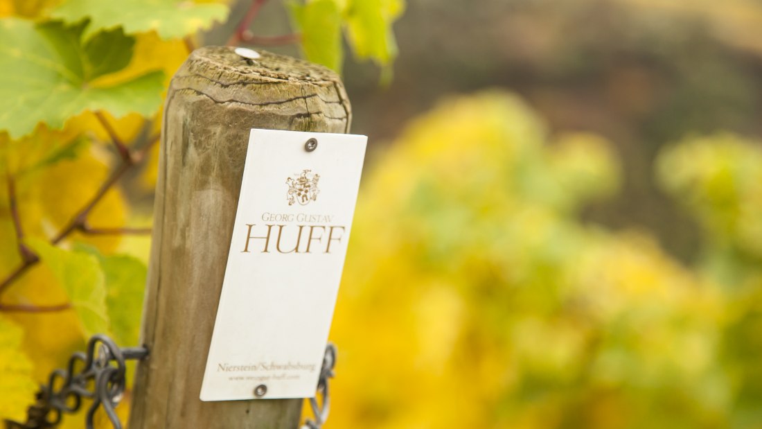 Weingut Georg Gustav Huff_Weinberg, © Weingut Georg Gustav Huff