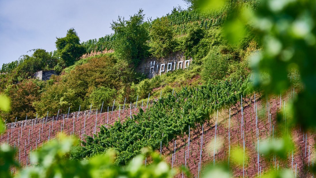 Weingut Manz_Hipping, © Weingut Manz