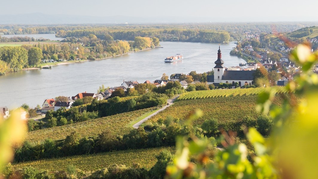 Weingut Heise am Kranzberg_Rhein 2, © Weingut Heise am Kranzberg