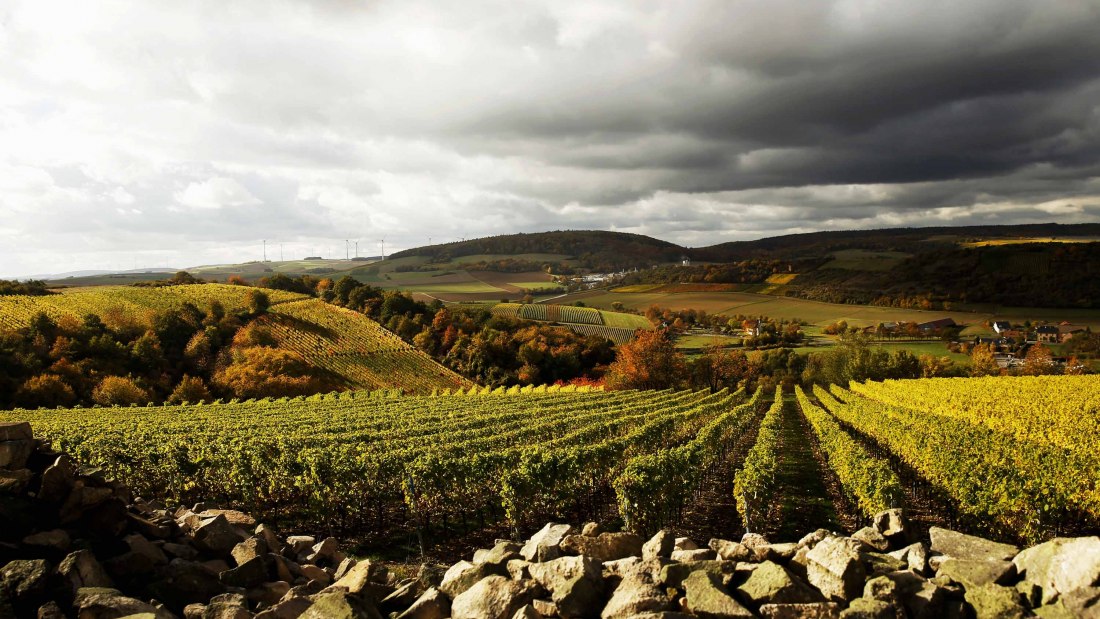 Weingut Steitz_Neu Bamberg Heerkretz, © Weingut Steitz