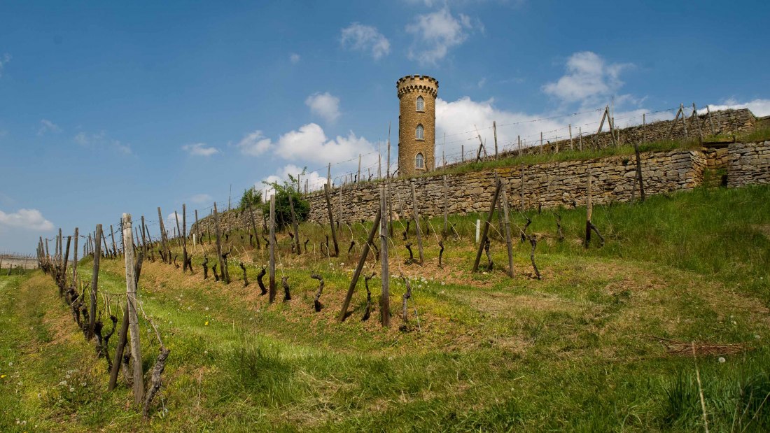 Weingut Heiligenblut_Turm 3, © Weingut Heiligenblut