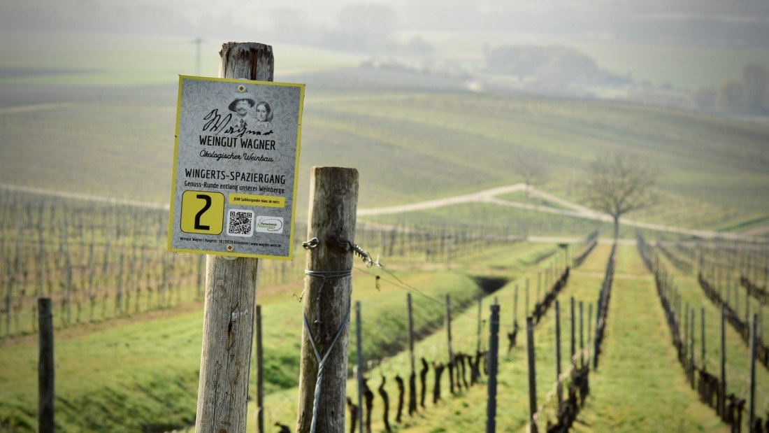 Weingut Wagner_Weinberg, © Weingut Wagner