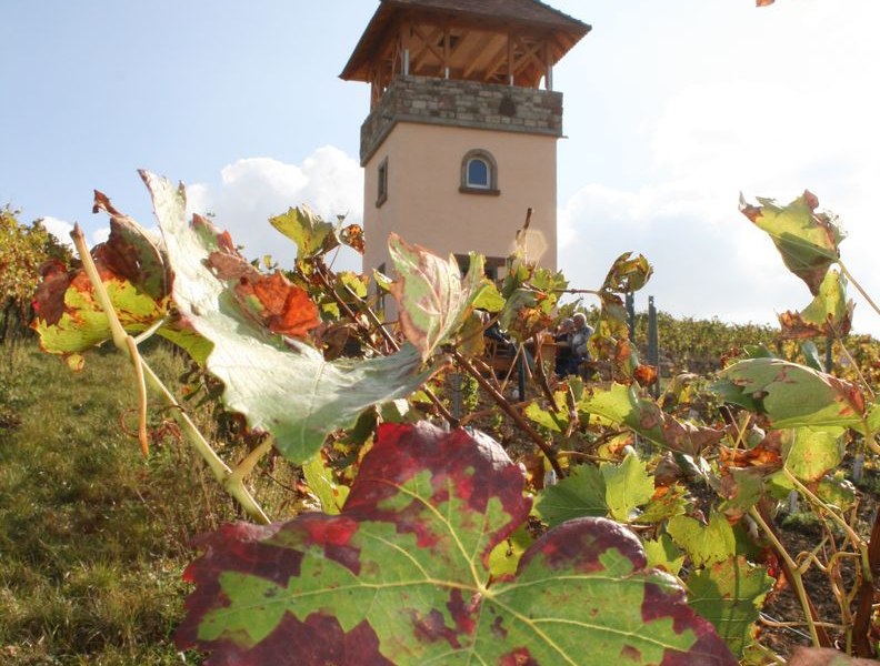 Familienweingut Dechent_Turm_Herbst