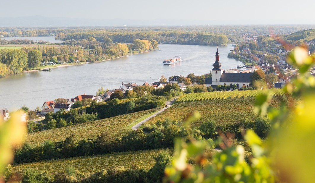 Weingut Heise am Kranzberg_Rhein 2, © Weingut Heise am Kranzberg