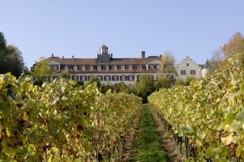 Weingut Schloß Westerhaus_Front, © Weingut Schloß Westerhaus