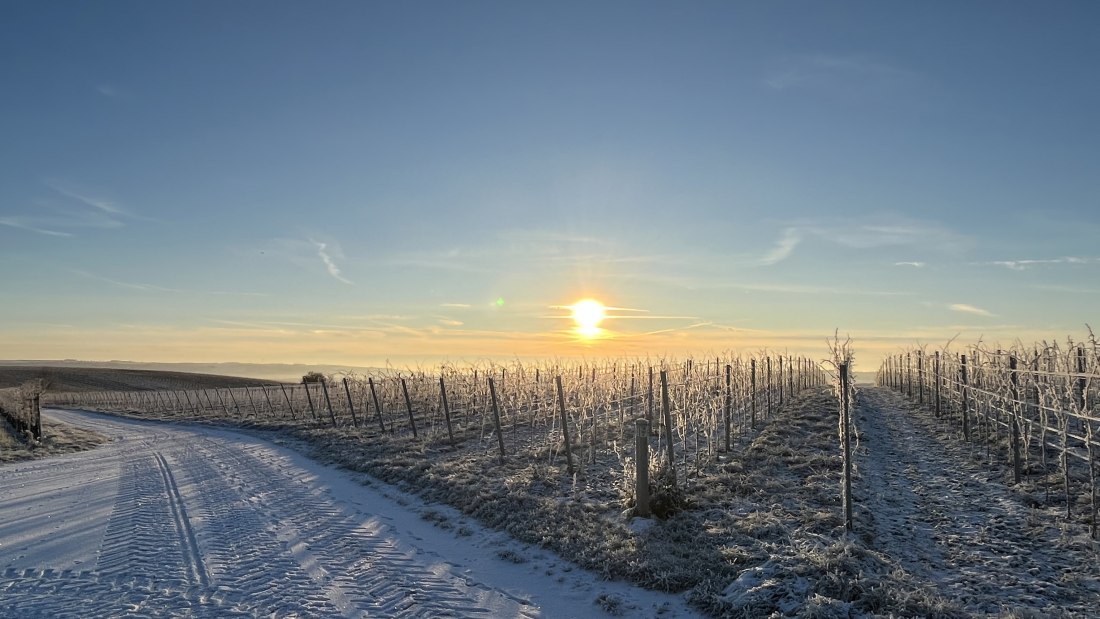 Bio Weingut Hellmich_Schnee, © Bio Weingut Hellmich