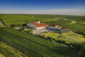 Weingut Raddeck Nierstein, © Weingut Raddeck