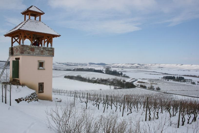 Familienweingut Dechent_Turm_Winter