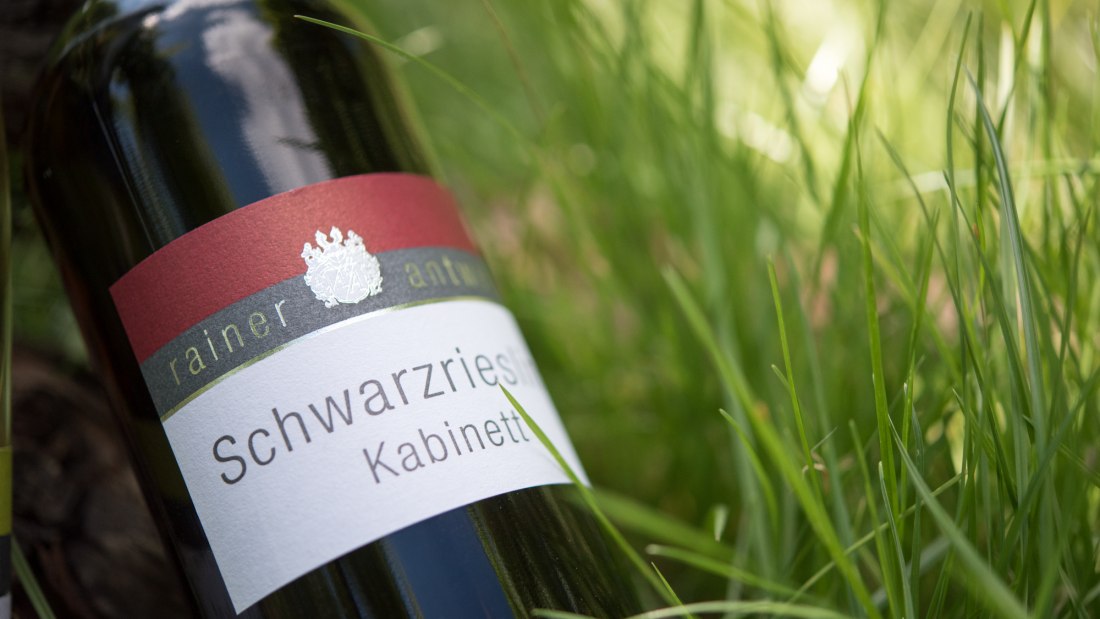 Weingut Antweiler_Schwarzriesling, © Weingut Antweiler