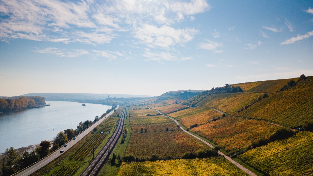 Weingut Seebrich_Roter Hang, © Weingut Seebrich