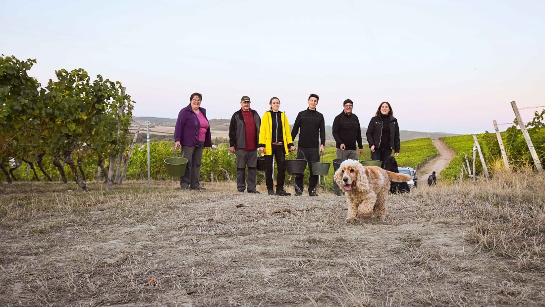 Weingut Eppelmann_Familie, © Weingut Eppelmann