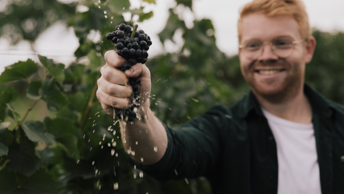 Peter - Pinot - Weingut Dr. Hinkel, © Sven Hasselbach