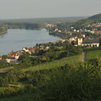 Rheinland Pfalz_Rheinhessen_Winzerhof Dätwyl_1291