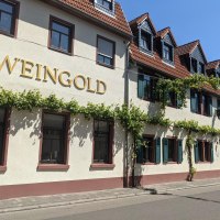 Weingold Domhof © Weingut Domhof