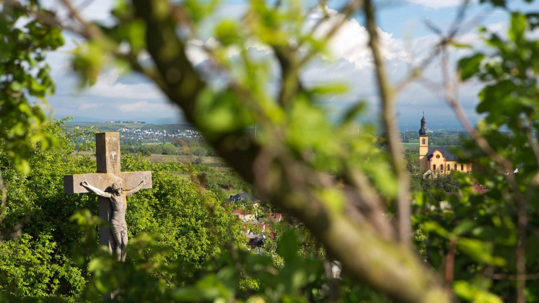 Weingut Schmitz_Ausblick, © Weingut Schmitz