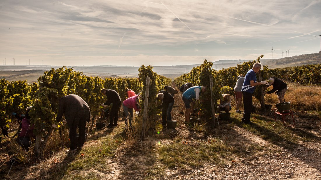 Leser im Sonnenschein, © Sven Hasselbach