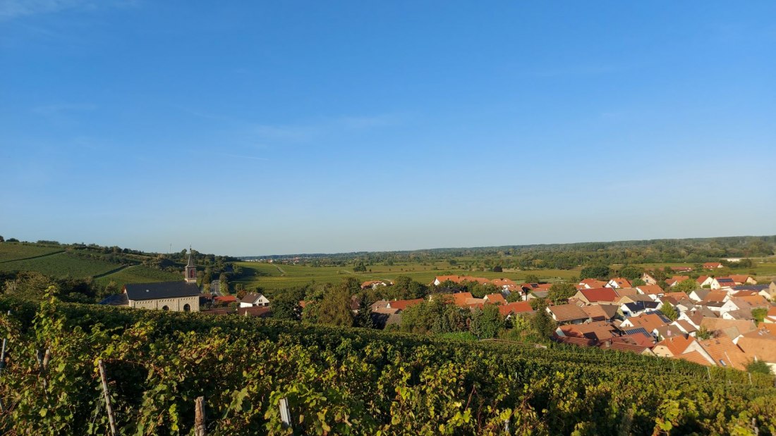 Weingut Otto Becker_Ludwigshoehe, © Weingut Otto Becker