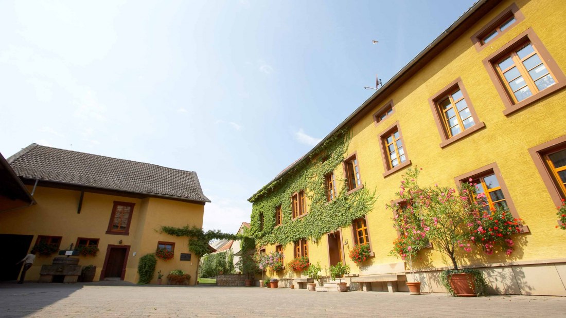 Weingut Julian Wolf_Hof 2, © Weingut Julian Wolf