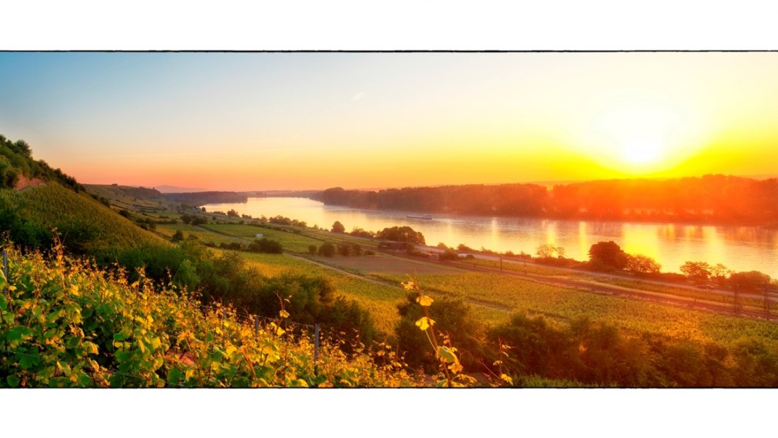 Weingut Heise am Kranzberg_Rhein, © Weingut Heise am Kranzberg