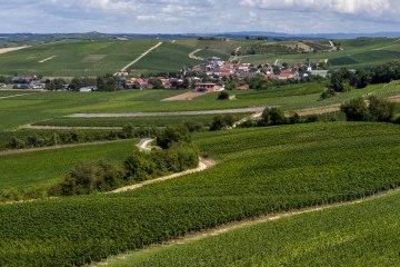 Bornheimer Hähnchen