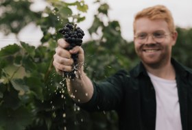 Peter - Pinot - Weingut Dr. Hinkel, © Sven Hasselbach