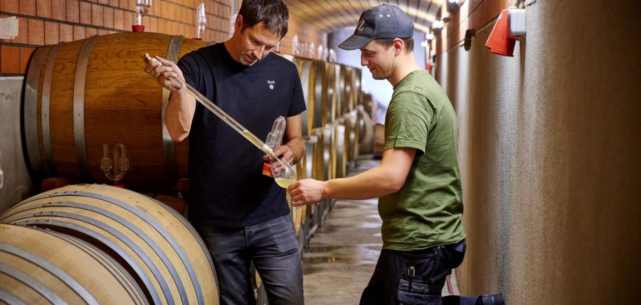 Weingut Manz_Arbeit im Keller, © Weingut Manz