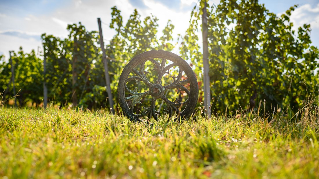 Weingut Köster-Wolf_Weinberg, © Weingut Köster-Wolf