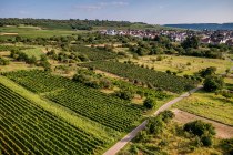 Ingelheimer Rotes Kreuz