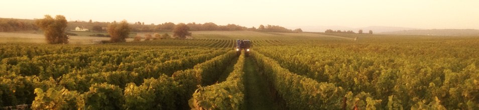 Weingut Beyer-Bähr_Landschaft, © Weingut Beyer-Bähr