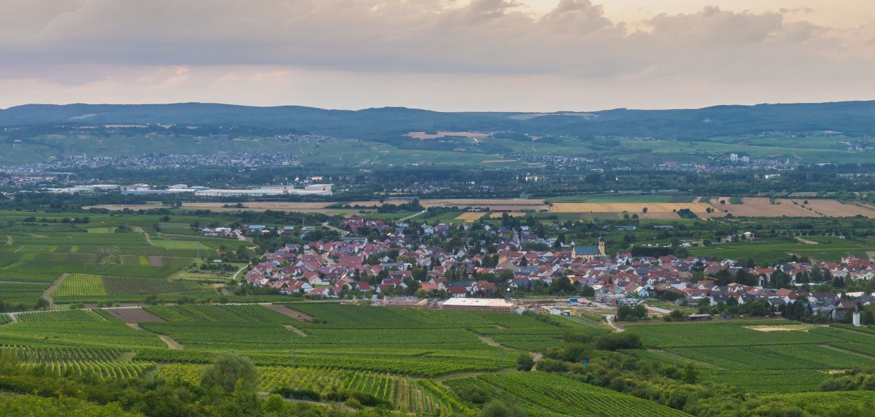 FamilienWeinGut Feser_Jakobsberg, © FamilienWeinGut Feser