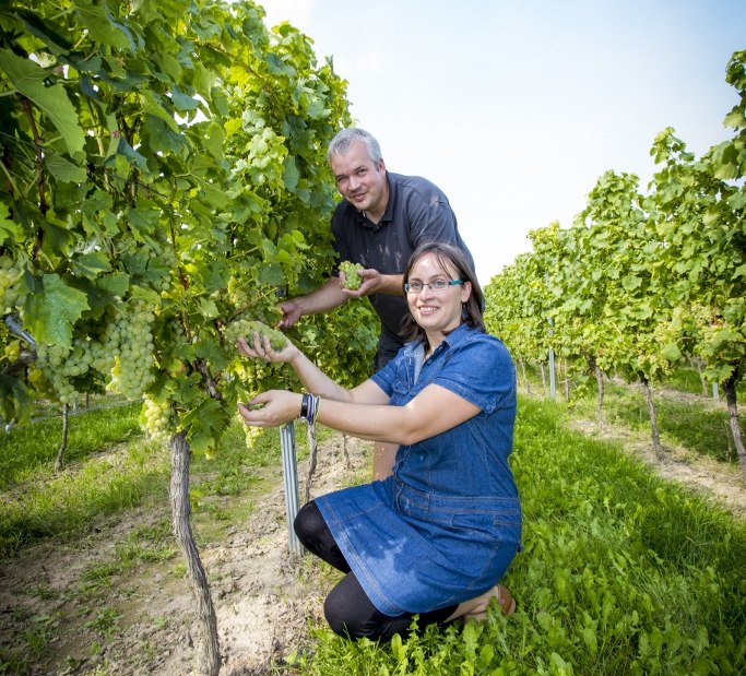 Weingut Helmut Best_Trauben, © Weingut Helmut Best