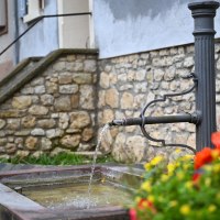 Brunnen in Gundersheim mit Blumen © Touristikverein Wonnegau e.V.