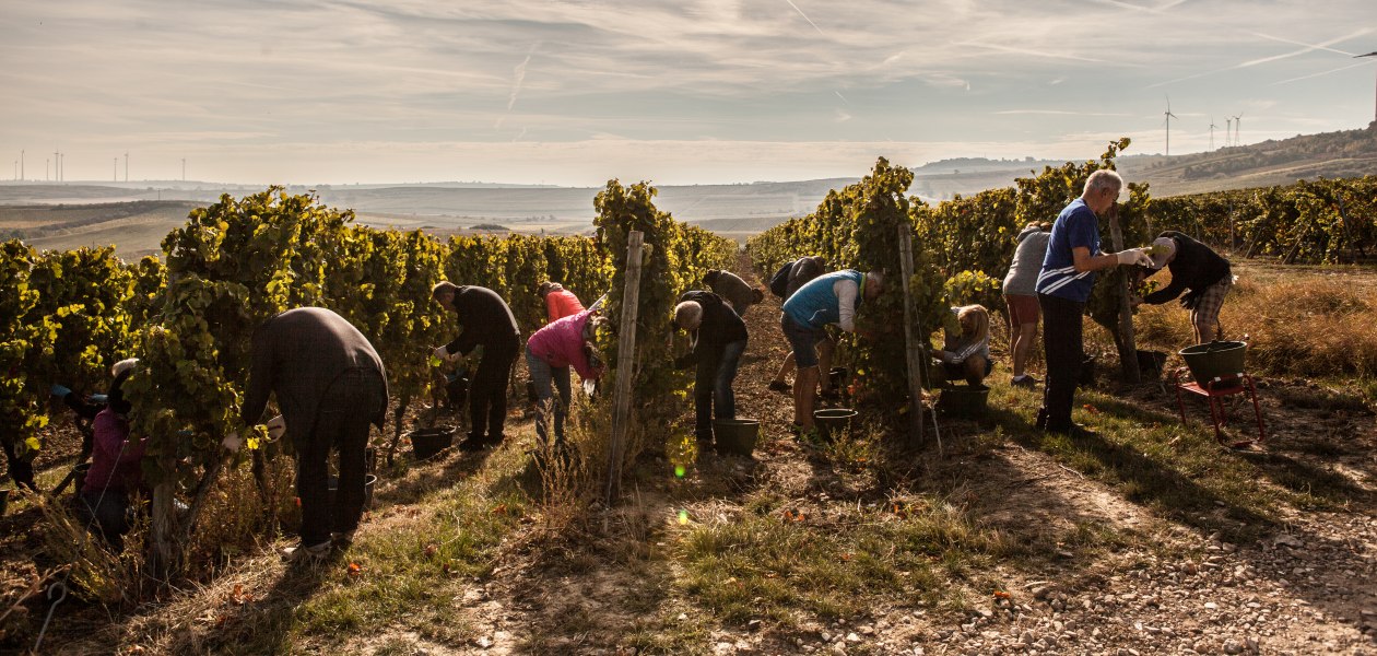 Leser im Sonnenschein, © Sven Hasselbach