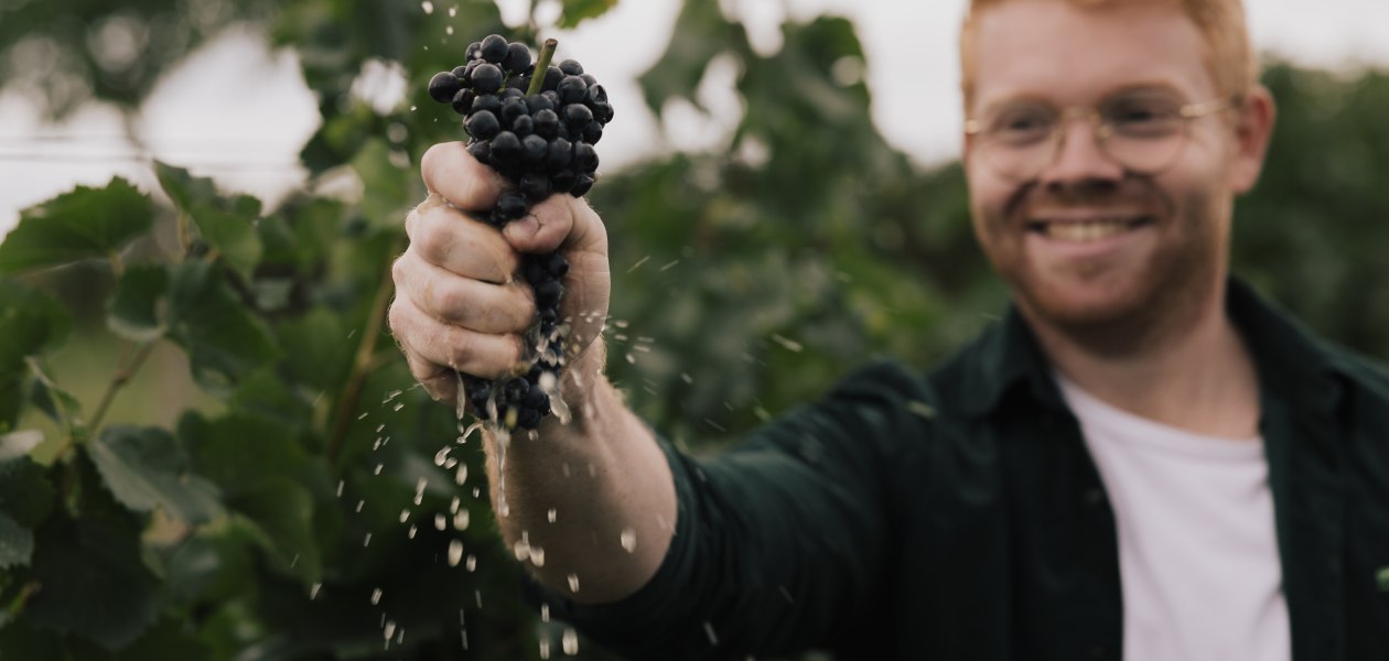 Peter - Pinot - Weingut Dr. Hinkel, © Sven Hasselbach