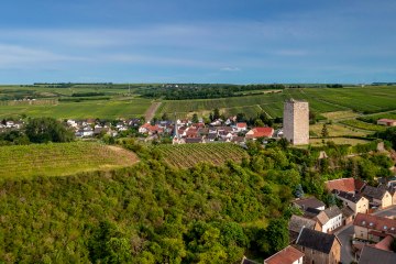 Niersteiner Schloß Schwabsburg