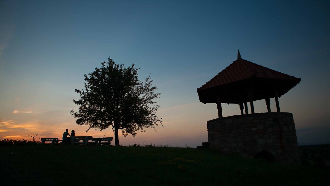 Weingut Lawall-Stöhr_Weinberg, © Weingut Lawall-Stöhr