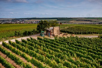 Weinheimer Kapellenberg