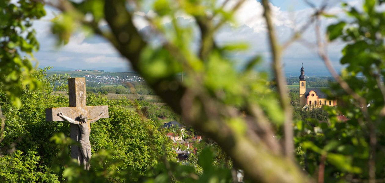 Weingut Schmitz_Ausblick, © Weingut Schmitz