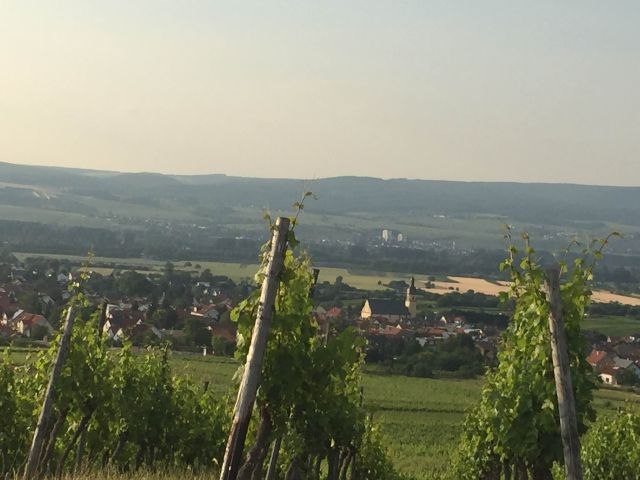 FamilienWeinGut Feser_Weinber, © FamilienWeinGut Feser