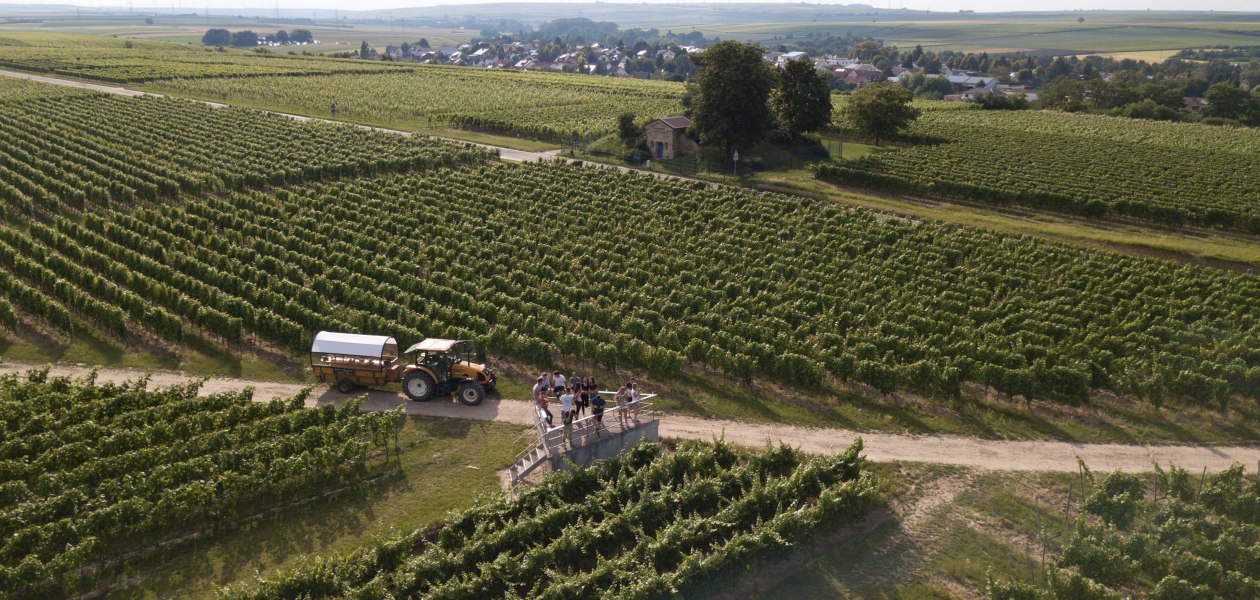 Weingut Grittmann_Weinbergsrundfahrt, © Weingut Grittmann