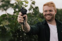 Peter - Pinot - Weingut Dr. Hinkel, © Sven Hasselbach