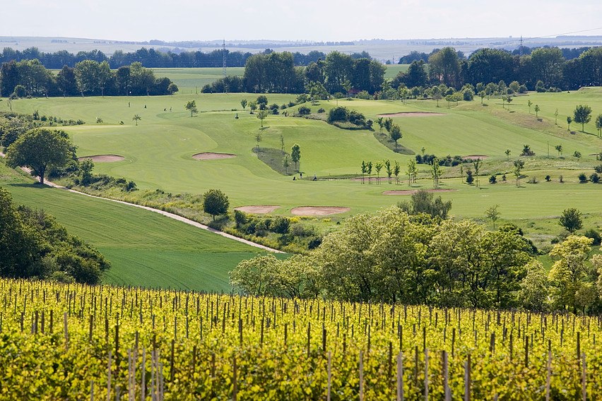 Weingut Becker_Golfplatz, © Weingut Becker