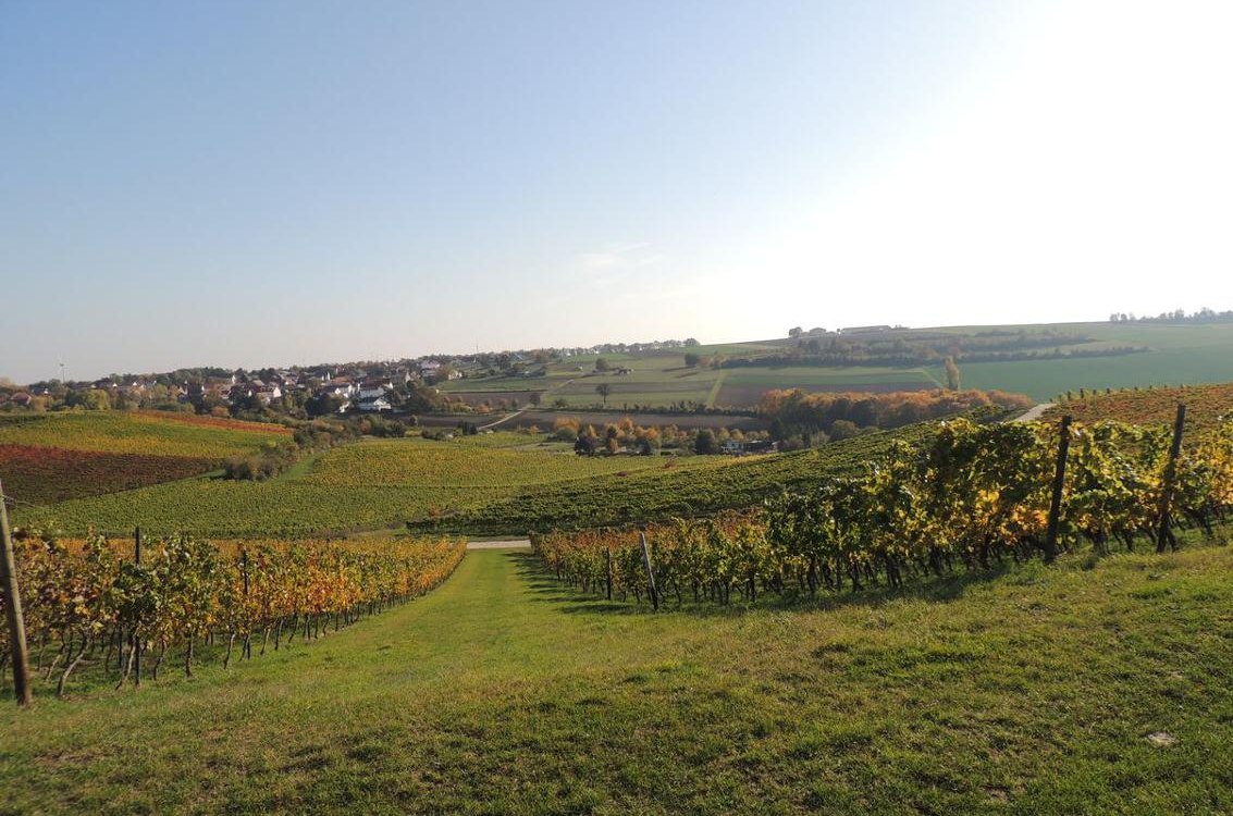 Weingut Seck_Dolgesheim, © Weingut Seck